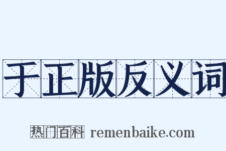 于正版反义词是什么意思的图片